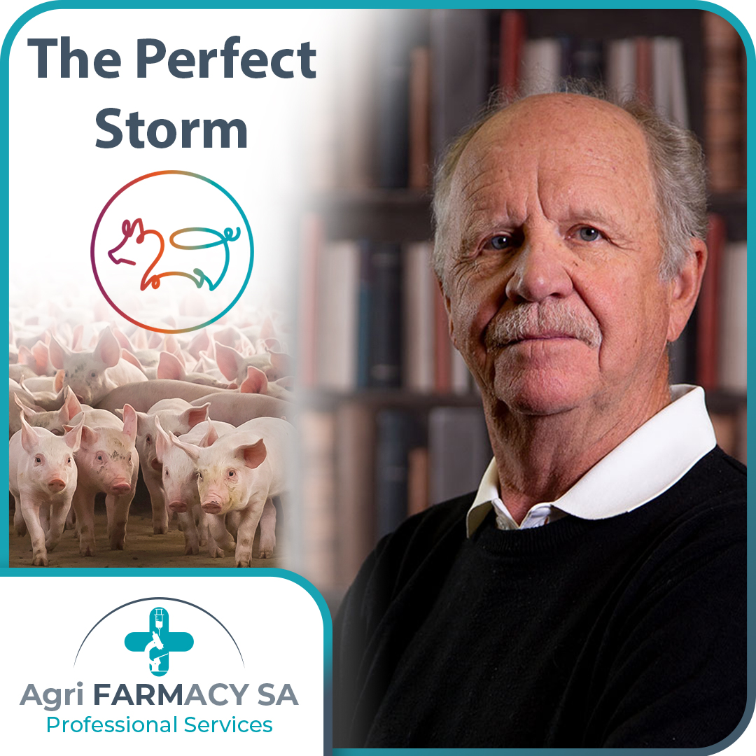 By Dr Pieter Grimbeek