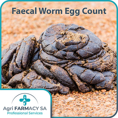 Faecal egg counting (FEC)