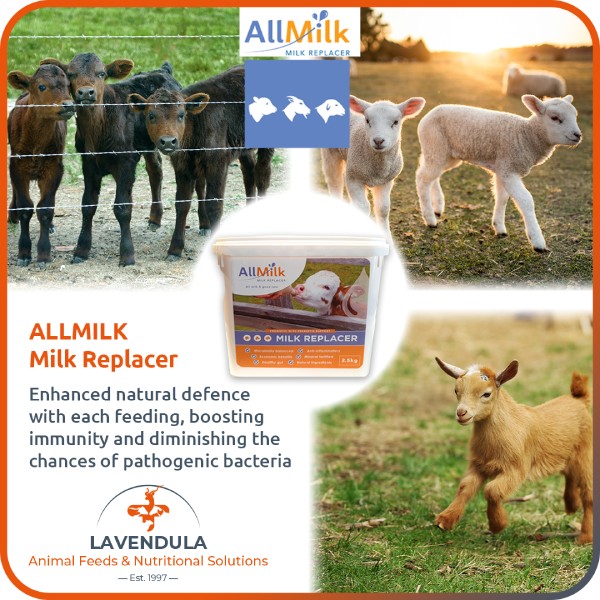 Milk Replacer for Calves, Lambs & Goat Kids