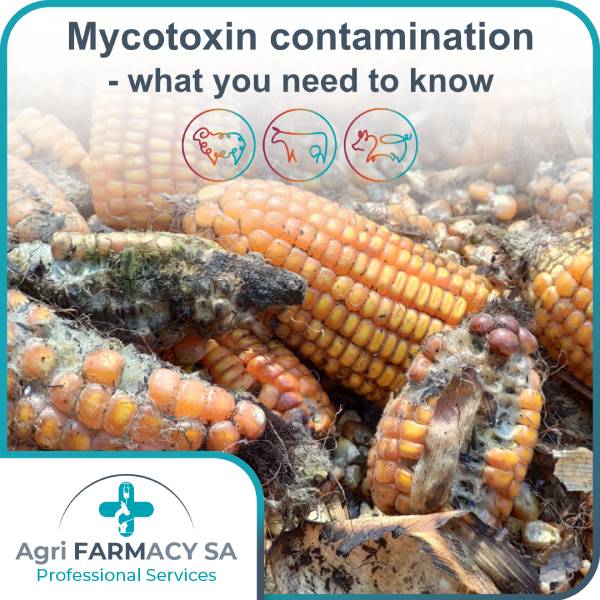Biomarkers – a New Method to Analyse Mycotoxin Exposure