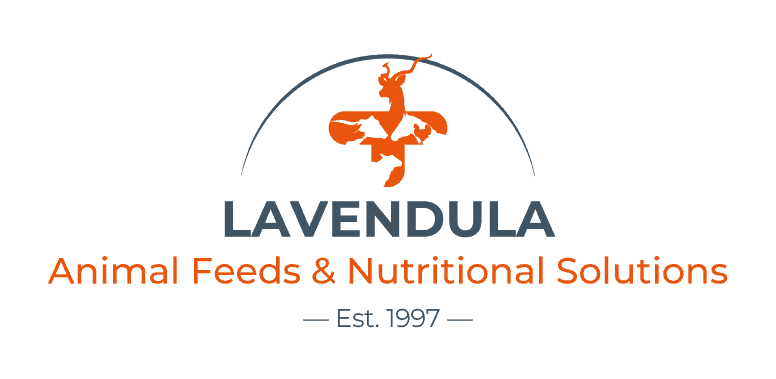 Lavendula
